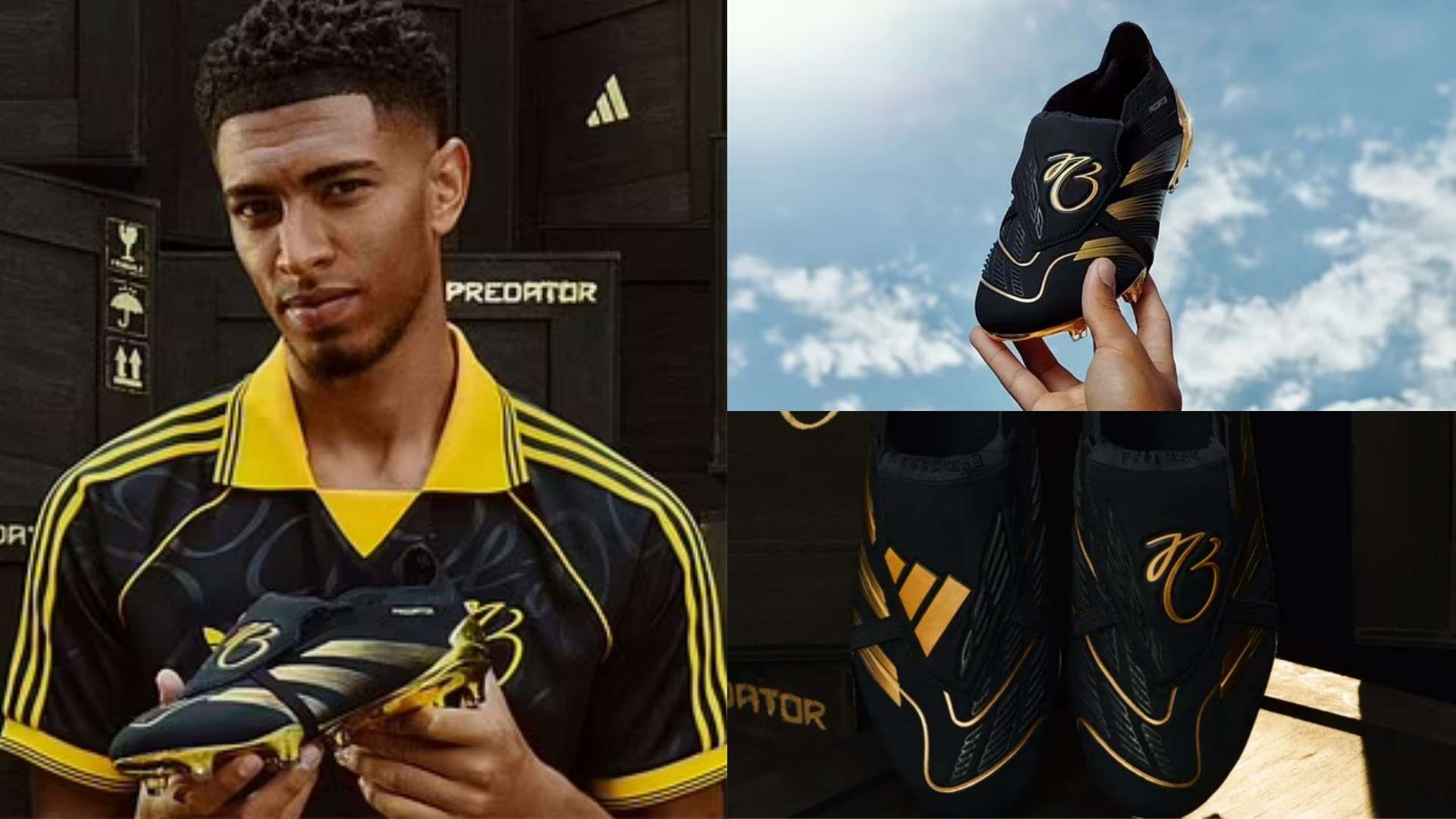 如何针对不 如何针对不